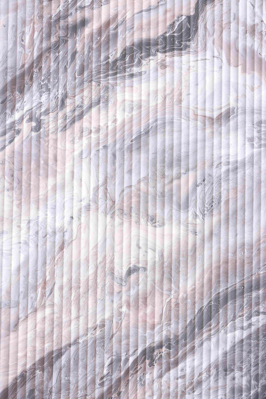 SilverFox