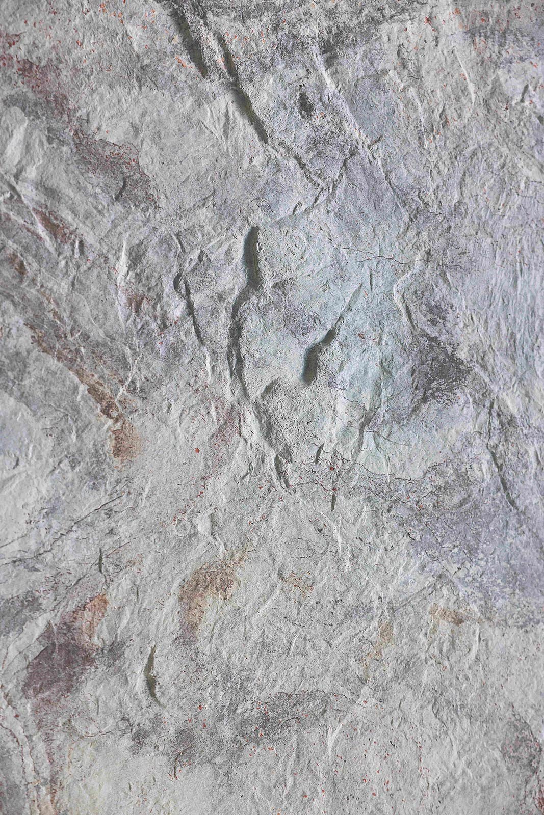 Venus Grey
